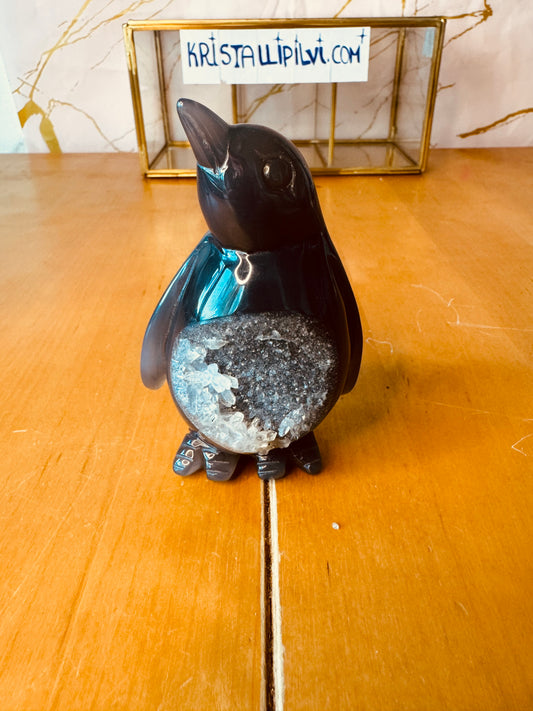 Druusi akaatti pingviini